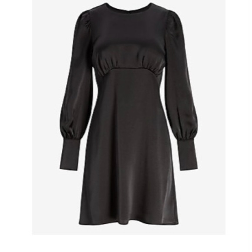 Express Satin Balloon Sleeve Empire Seam dress